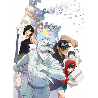 楽天市場 アニプレックス 特別上映版 はたらく細胞 最強の敵 再び 体の中は 腸 大騒ぎ 完全生産限定版 dvd Anzb 価格比較 商品価格ナビ 楽天市場 アニプレックス 特別上映版 はたらく細胞 最強の敵 再び 体の中は 腸 大騒ぎ 完全生産限定版 dvd Anzb 価格比較 商品価格ナビ